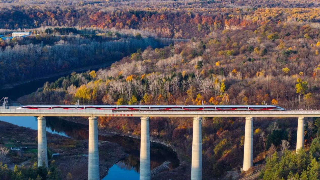 沈白高鐵正式開(kāi)通運(yùn)營(yíng)。受訪方供圖